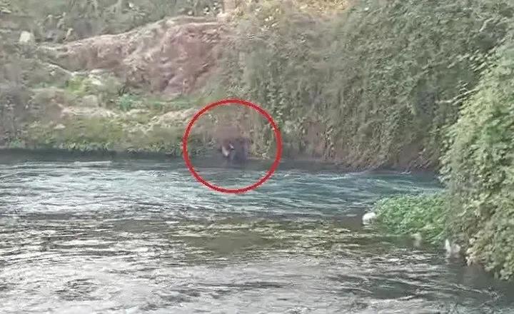 Duden Selalesi yakinlarinda tehlikeli anlar Bir kisinin suya dusup kurtarilmasi Yarali kisinin kurtarilmasi