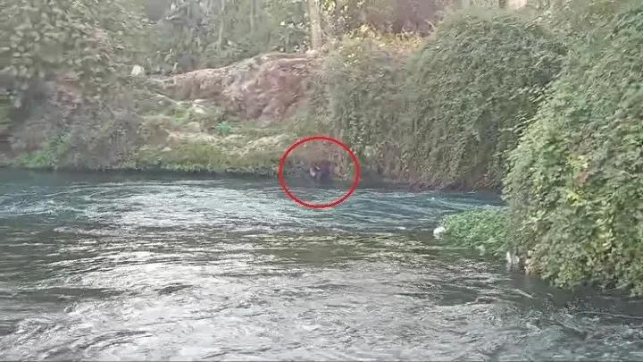 Duden Selalesi yakinlarinda tehlikeli anlar Bir kisinin suya dusup kurtarilmasi Duden Selalesi yakinlarinda tehlikeli anlar Bir kisinin suya dusup kurtarilmasi