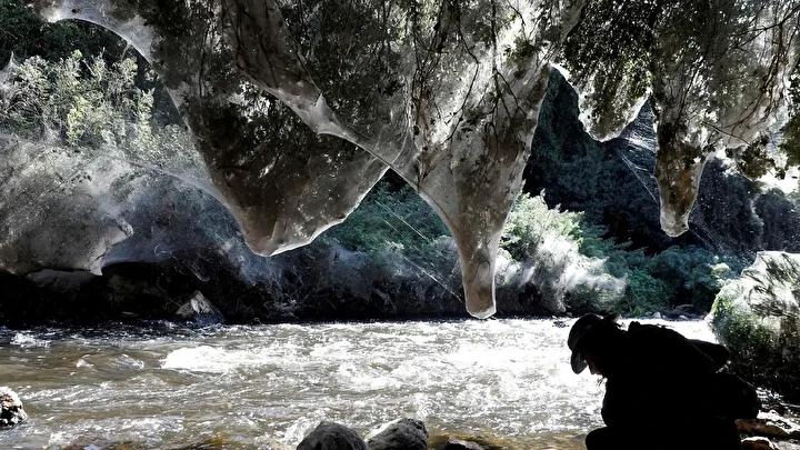 Dunyanin En Buyuk Orumcek Agi ve Gizemli Kukurt Magarasi Kesfi Doganin Bilinmeyen Surprizleri