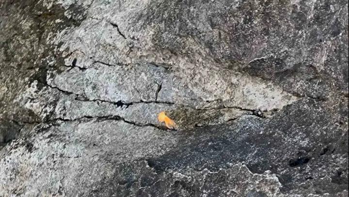 Egirdir Golunde Kuraklik ve Doga Olaylari Birlikte Gundemde Egirdir Golunde Kuraklik ve Doga Olaylari Birlikte Gundemde