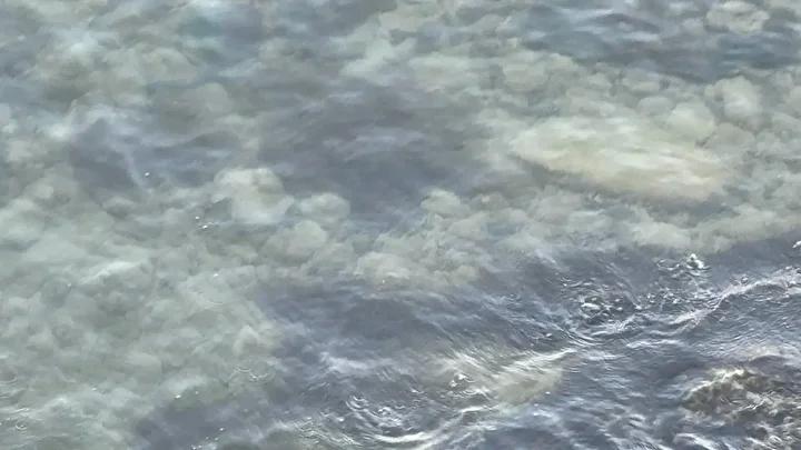 Egirdir Golunde Kuraklik ve Doga Olaylari Birlikte Gundemde Egirdir Golunde Kuraklik ve Doga Olaylari Birlikte Gundemde