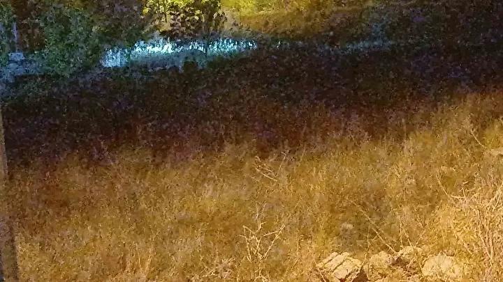 Elazigda Otizmli Veysel Bilenin Kayip Hikayesi Guncel Arama Calismalariyla Devam Ediyor