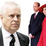 Eski York Duku Andrew8217e Yeni Hayatinda Finansal Guvence Sunuluyor