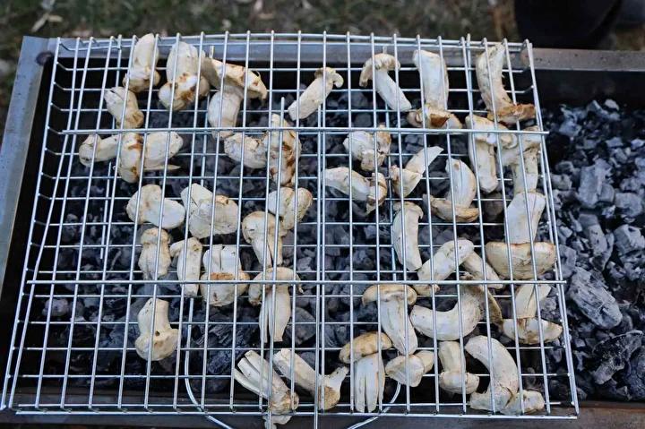 Ekonomik ve Ekolojik Bakımdan Önemli