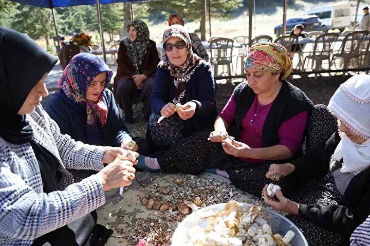 Bölgedeki Dayanışma ve Toplama Rutinleri