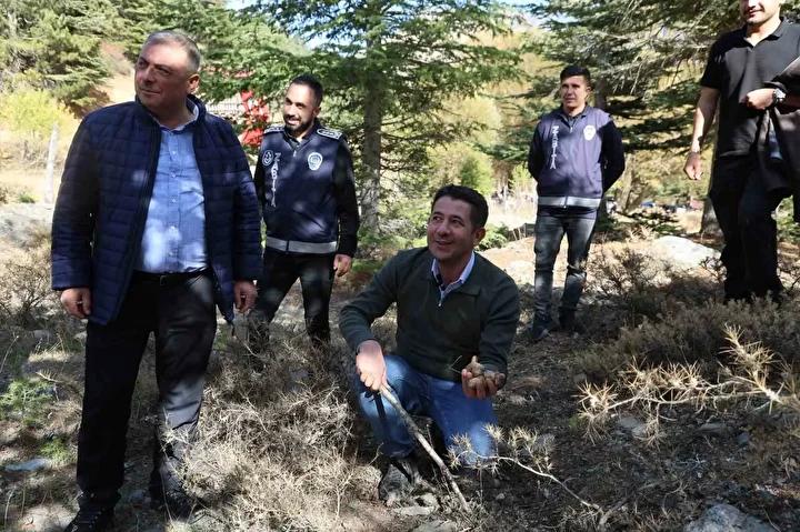 Feke’de Yılın İlk Sedir Mantarı Hasadı ve Ekonomiye Katkısı