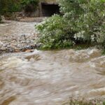 Filipinler8217de Tino Tayfunu Sonrasi Guncel Durum ve Yetkililerin Aciklamalari