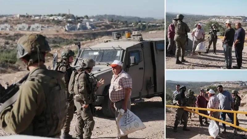 Filistin Zeytin Hasadı Döneminde İsrail Saldırılarında Artış Yaşanıyor