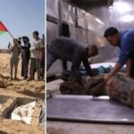 Filistinli Esirlerin Durumu ve Uluslararasi Cabalar Emced Neccarin Aciklamalari