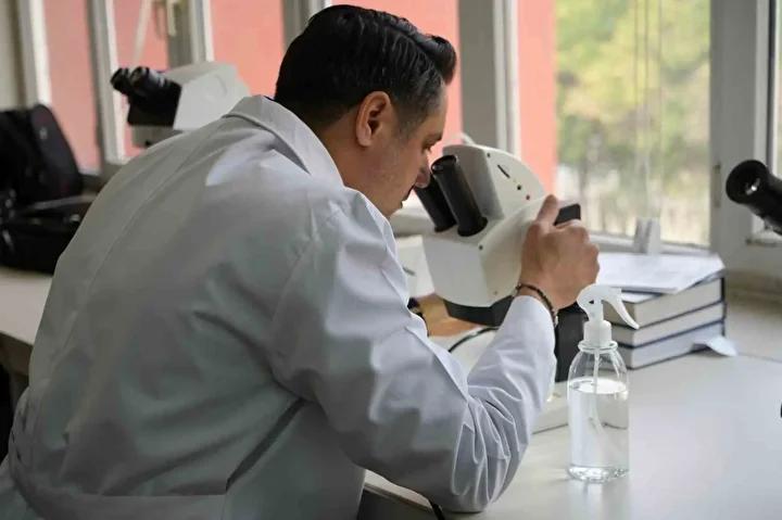 Gaziantep8217te Sinek Istilasi Care Bulunamiyor Vatandaslar Cileden Cikiyor Bilimsel Aciklamalar ve Vatandas Endiseleri