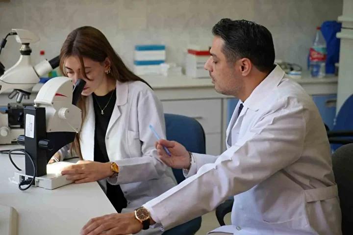 Gaziantep8217te Sinek Istilasi Care Bulunamiyor Vatandaslar Cileden Cikiyor Vatandaslarin ve Tarimcilarin Cozum Talepleri