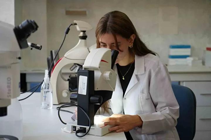 Gaziantep8217te Sinek Istilasi Care Bulunamiyor Vatandaslar Cileden Cikiyor Gaziantepte Sinek Istilasi Care Bulunamiyor Vatandaslar Cileden Cikiyor