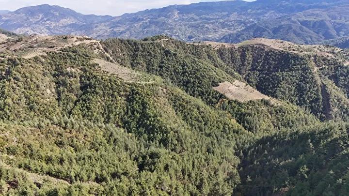 Gökgedik Mahallesi'nde Kayıp Arama Çalışmaları Devam Ediyor