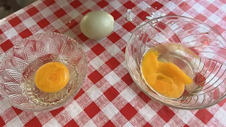 Gözcüler Mahallesi'nde Mavi Yumurta Üretimiyle İlgi Çeken Tavuk Serüveni