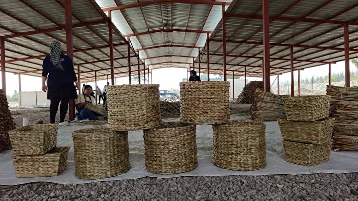 Hatayda Ekonomik ve Ekosistem Destekli Su Sumbulu Projesi