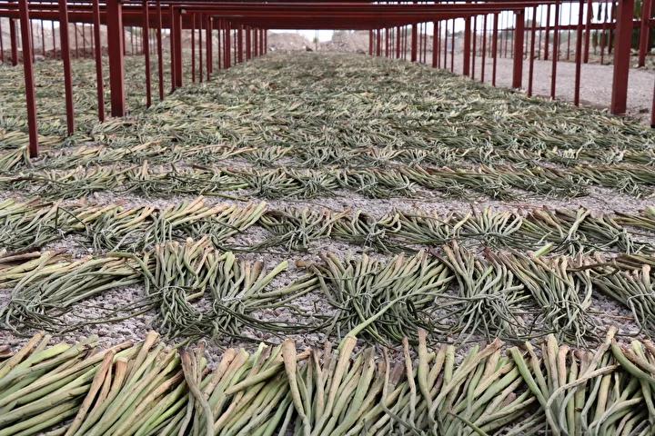 Proje ve Ekonomik Faydalar