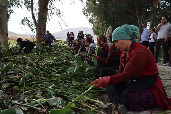 Hatayda Ekonomik ve Ekosistem Destekli Su Sumbulu Projesi
