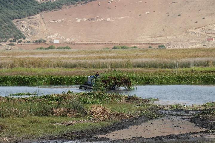Hatayda Ekonomik ve Ekosistem Destekli Su Sumbulu Projesi