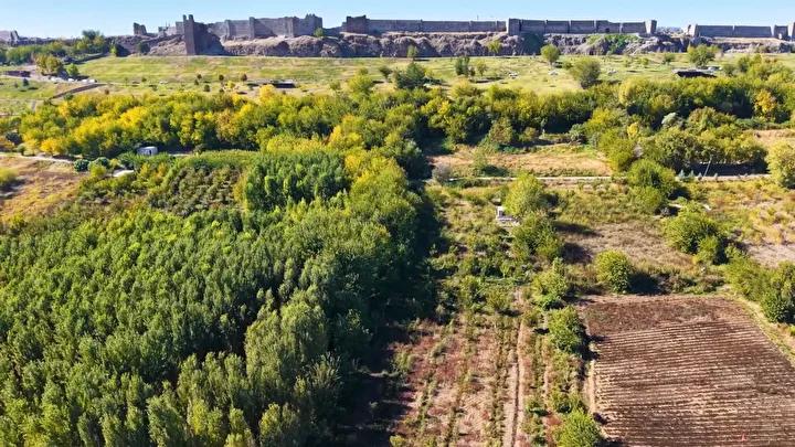 Hevsel Bahçeleri'nde Sonbahar Manzarası: Doğanın ve Medeniyetin Buluşması