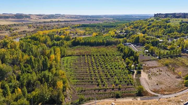 Hevsel Bahçeleri'nde Sonbahar Manzarası: Doğanın ve Medeniyetin Buluşması