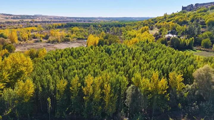Hevsel Bahçeleri'nde Sonbahar Manzarası: Doğanın ve Medeniyetin Buluşması