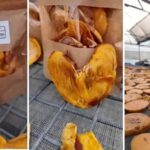 Honaz8217da Cennet Hurmasi Inovasyonu ve Yeni Urun Firsatlari