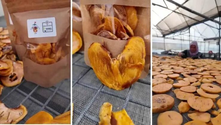 Honaz’da Cennet Hurması İnovasyonu ve Yeni Ürün Fırsatları