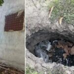 Ilginc Olay Egirdir8217de Cokuntu Olusumlari ve Guvenlik Onlemleri