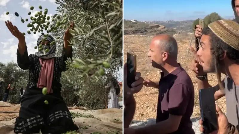 İsrail’in Filistin Topraklarındaki Saldırıları ve Zeytin Hasadı Çalışmalarına Müdahale