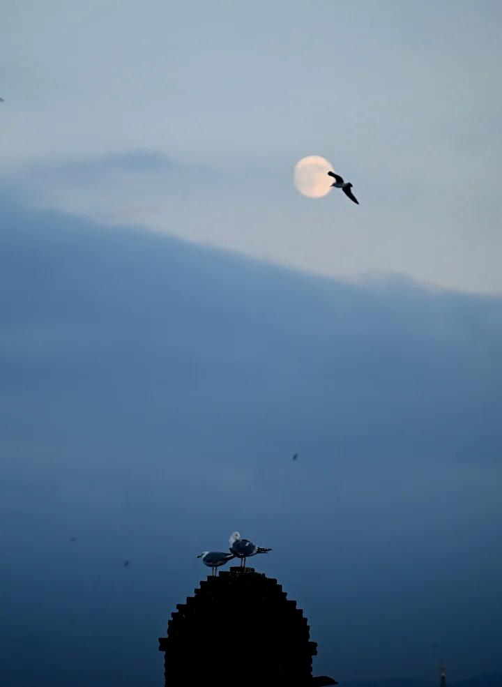 Istanbulda Aksam Gokyuzundeki Muhtesem Dolunay Atmosferi