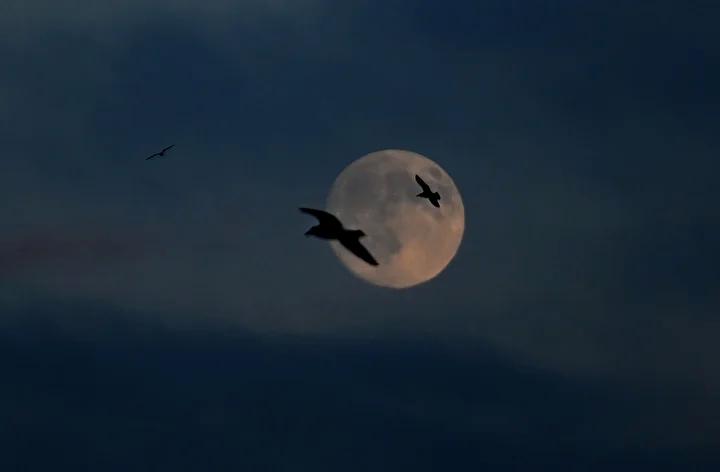 Istanbulda Aksam Gokyuzundeki Muhtesem Dolunay Atmosferi