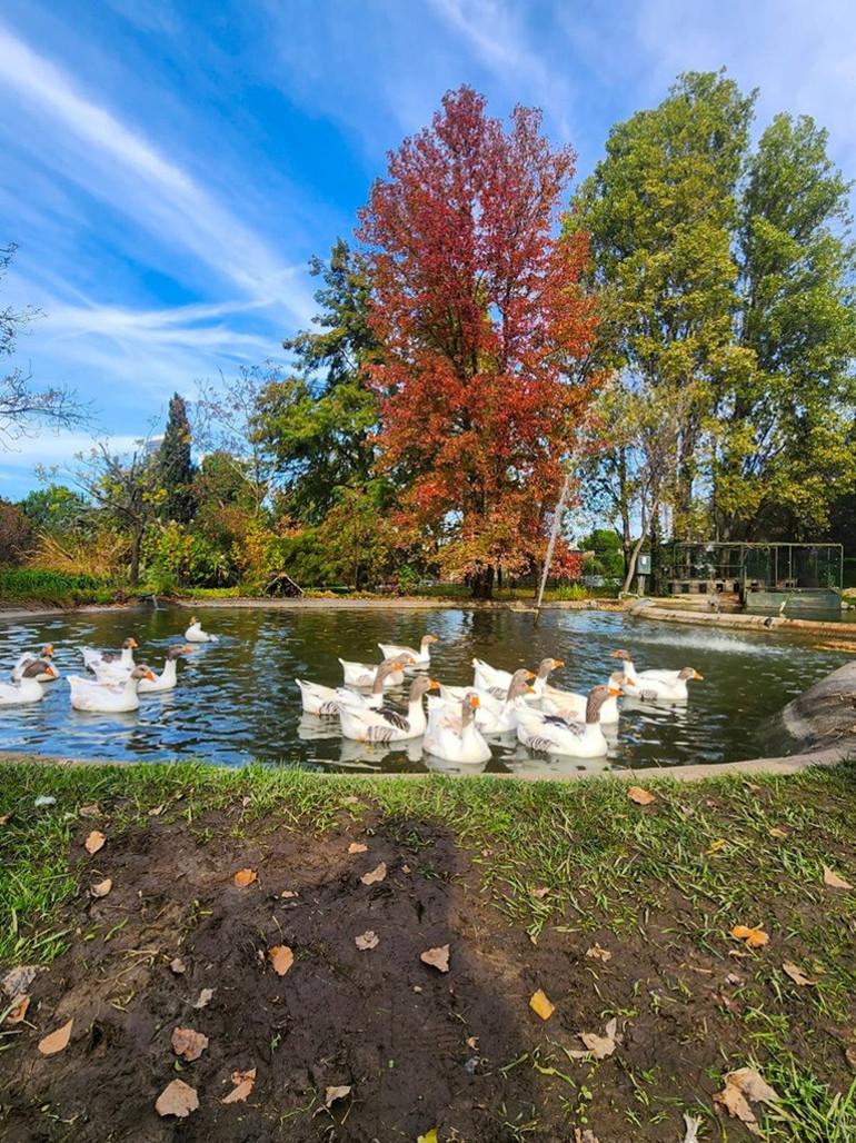 İstanbul'da Sonbaharın En Güzel Renkleri ve Doğa Kaçamağı Rehberi 3 İstanbul'da Sonbaharın En Güzel Renkleri ve Doğa Kaçamağı Rehberi