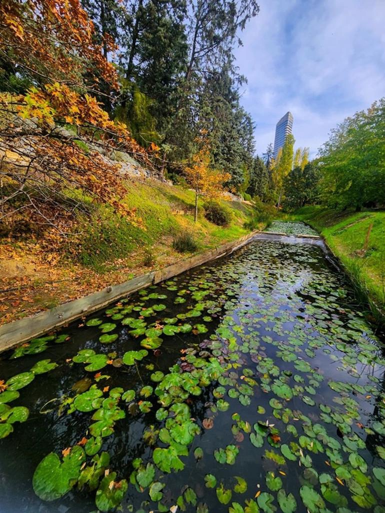 İstanbul'da Sonbaharın En Güzel Renkleri ve Doğa Kaçamağı Rehberi 6 İstanbul'da Sonbaharın En Güzel Renkleri ve Doğa Kaçamağı Rehberi