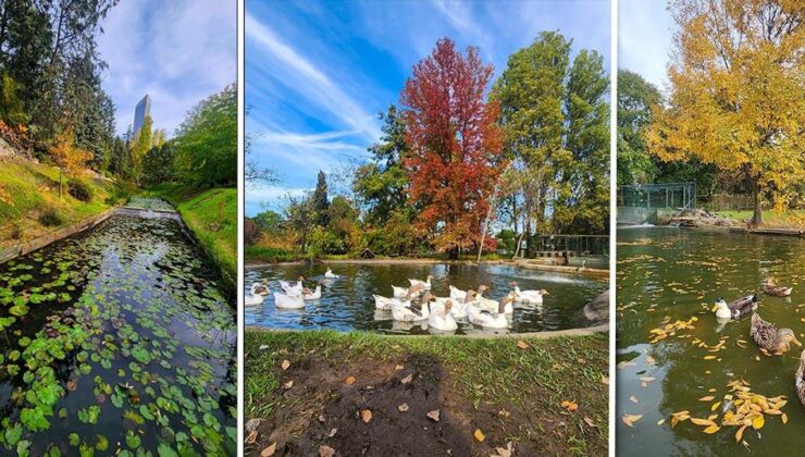 İstanbul’da Sonbaharın En Güzel Renkleri ve Doğa Kaçamağı Rehberi
