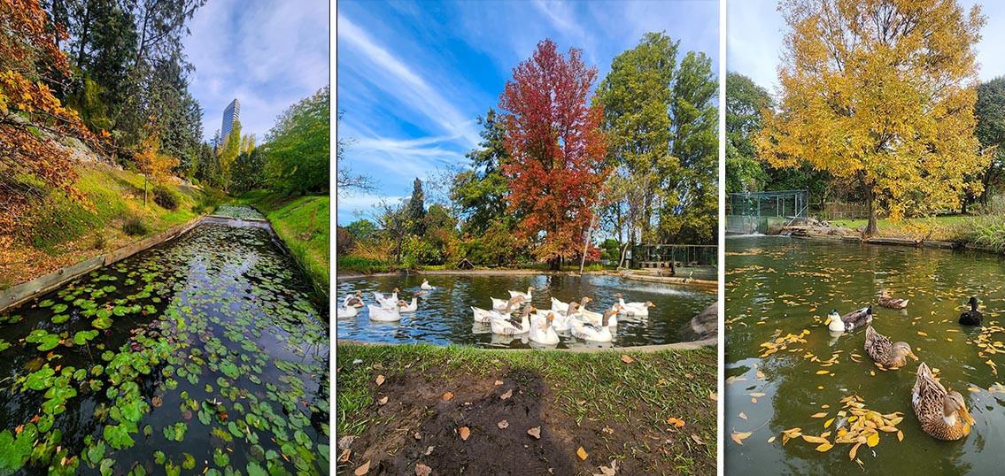 İstanbul’da Sonbaharın En Güzel Renkleri ve Doğa Kaçamağı Rehberi