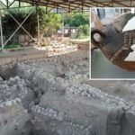 Izmir Arkeoloji Kazilarinda Yeni Bulgular ve Kazi Calismalari Hakkinda Guncel Bilgiler