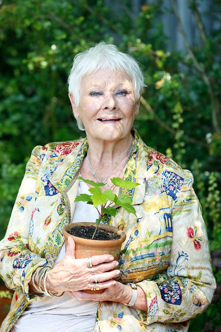 Görme Yetisinin Üzücü Kaybı