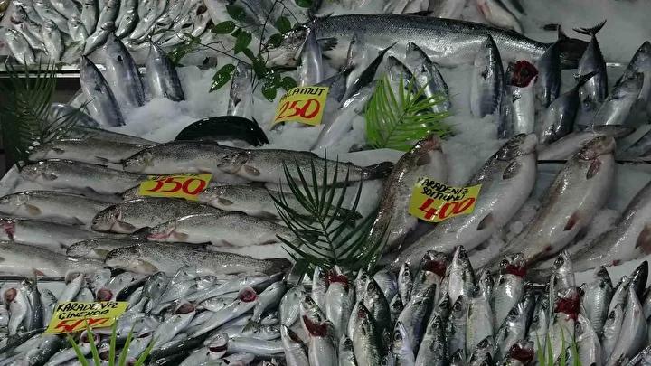 Karadeniz Balık Bolluğu Çankırı’da Uygun Fiyatlarla Yansıyor 3 Karadeniz Balık Bolluğu Çankırı’da Uygun Fiyatlarla Yansıyor