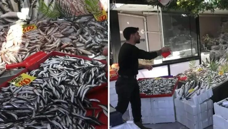 Karadeniz Balık Bolluğu Çankırı’da Uygun Fiyatlarla Yansıyor