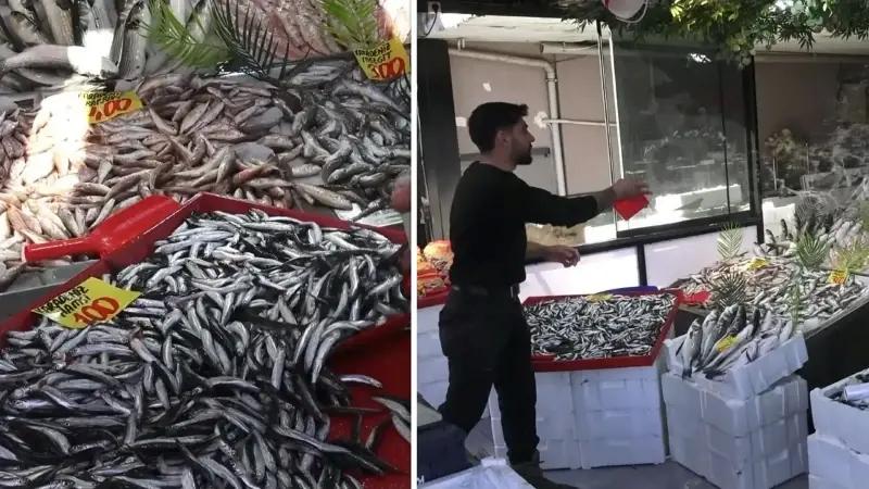 Karadeniz Balık Bolluğu Çankırı’da Uygun Fiyatlarla Yansıyor