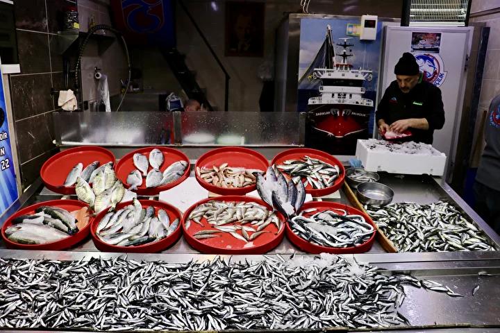 Karadeniz’de Balık Fiyatları ve Hamsi Bereketi Artık Tezgahlarda