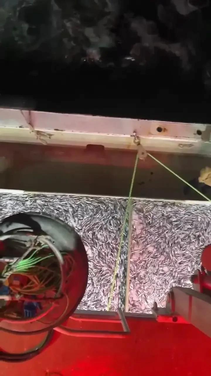 Yoğun Çalışma ve Yeni Av Planları