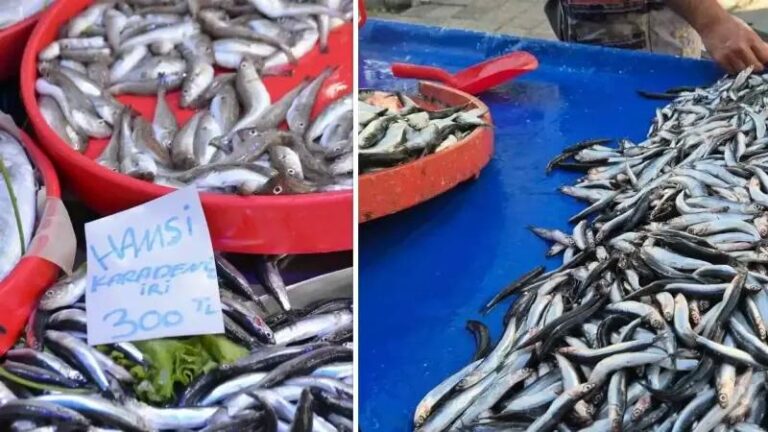 Karadenizli Balikcilarin Bua Bereketli Donusu