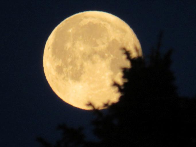Kasım Ayında Parlayan Dolunay ve Burçlara Olan Etkileri 2 Kasım Ayında Parlayan Dolunay ve Burçlara Olan Etkileri