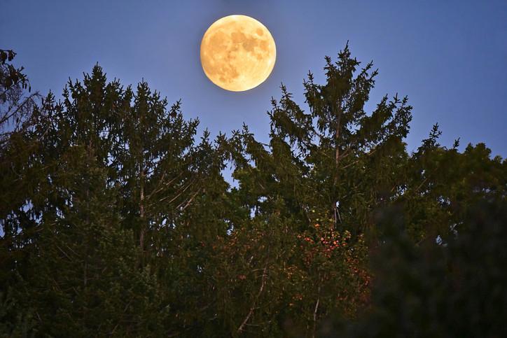Kasım Ayında Parlayan Dolunay ve Burçlara Olan Etkileri 3 Kasım Ayında Parlayan Dolunay ve Burçlara Olan Etkileri