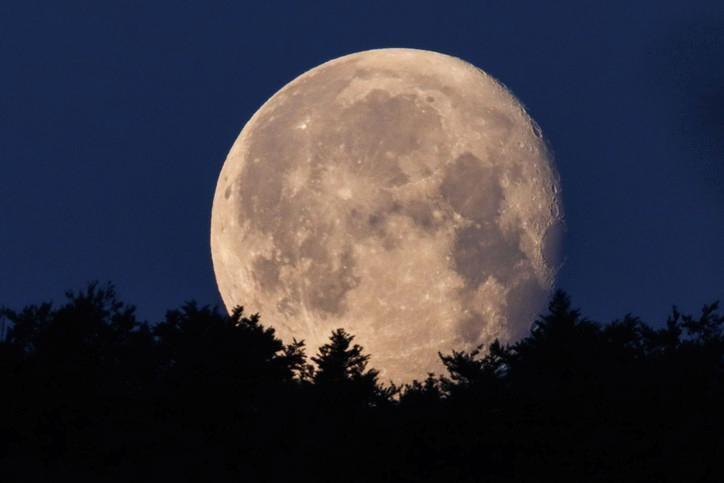 Kasım Ayında Parlayan Dolunay ve Burçlara Olan Etkileri 4 Kasım Ayında Parlayan Dolunay ve Burçlara Olan Etkileri
