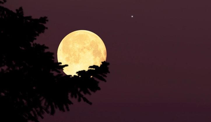 Kasım Ayında Parlayan Dolunay ve Burçlara Olan Etkileri