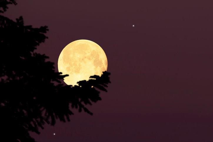 Kasim Ayinda Parlayan Dolunay ve Burclara Olan Etkileri