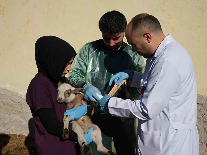 Kastamonu Üniversitesi’nden Bölgede Çığır Açan Koyun Yetiştiriciliği Projesi