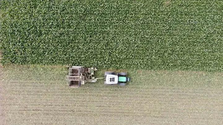 Kastamonu’da Pancar Hasadı ve Verimlilik Yükselişi 1 Pancar Üretiminde Başarı Hikayesi: Seydiler’den Bir Örnek